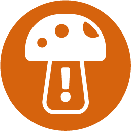 <strong>FUNGUS INFESTATION</strong>