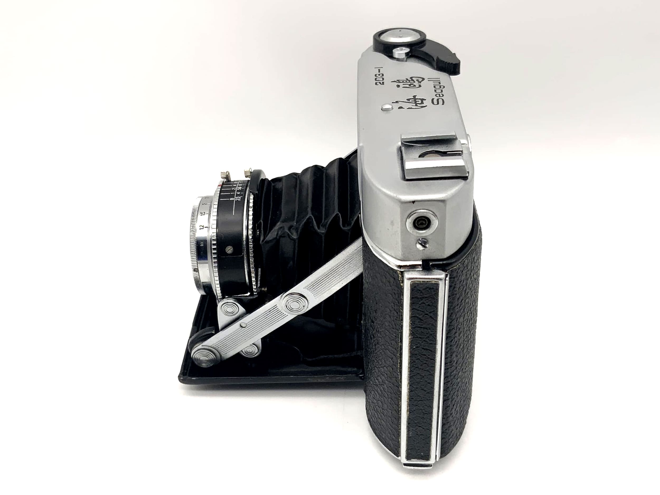 Seagull 203-1 folding camera with S-111-2 3.5/75
