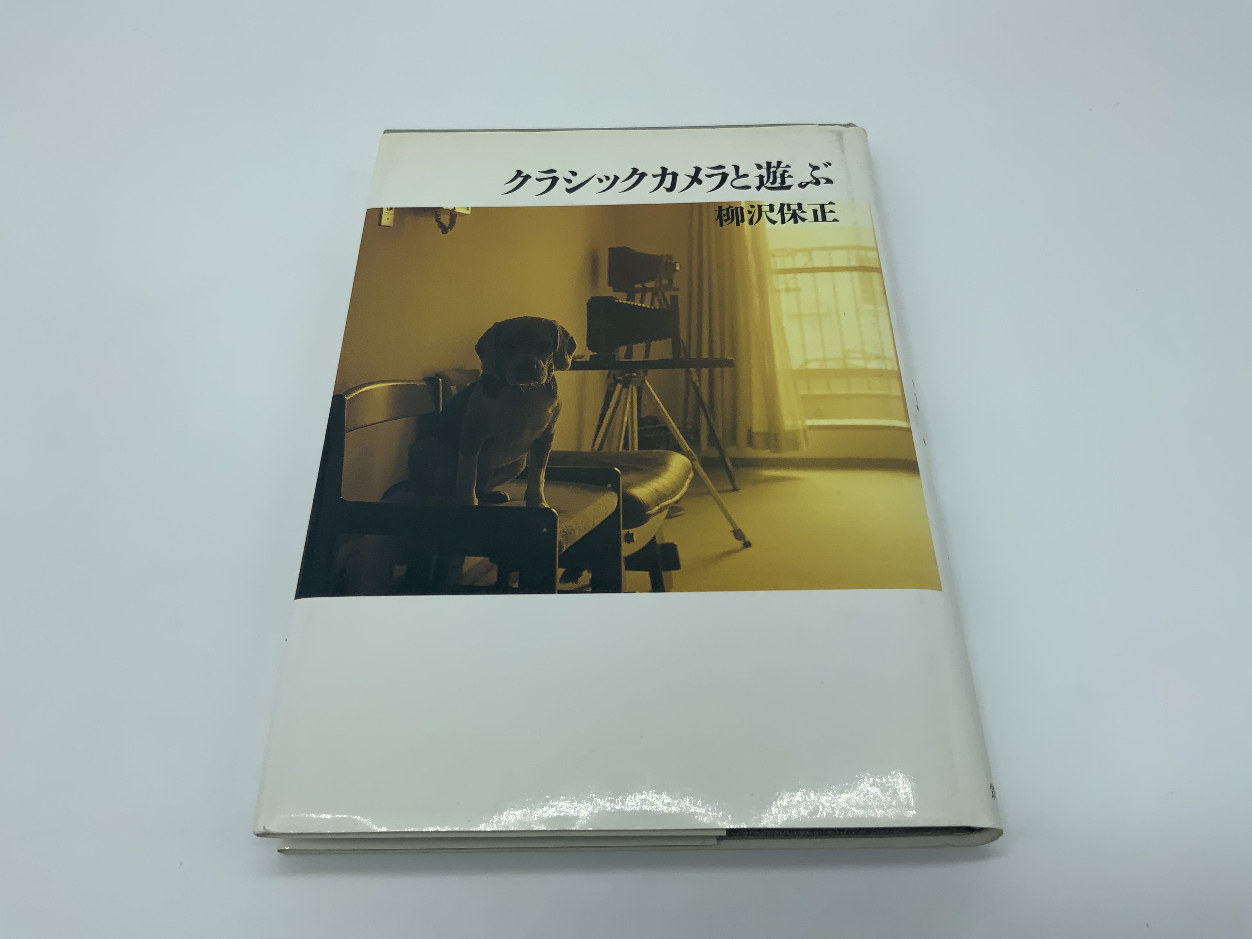 Yasumasa Yanagsawa Classic Camera and Play クラシックカメラと遊ぶ Deutsch